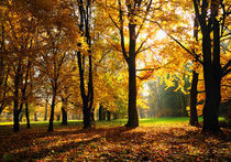 Autumn / Herbst von Martin Krämer