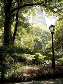 Central Park von Darren Martin