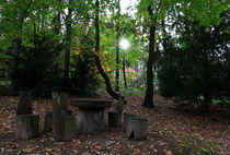 Rastplatz im Herbstwald von Wolfgang Dufner