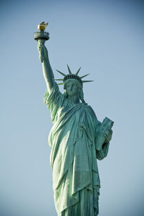 Statue of Liberty by Darren Martin