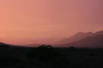 African Skyscape von Carmen Davila