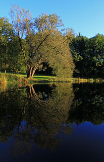 Herbst im Spiegel by Wolfgang Dufner