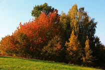 Herbstlandschaft von Wolfgang Dufner