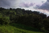 Forest above Antigua, Guatemala von Charles Harker