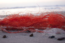 Red Net von Michael Beilicke