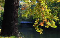 The bridge by Wolfgang Dufner