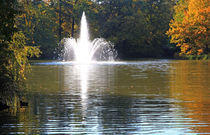 Herbst am See by Wolfgang Dufner