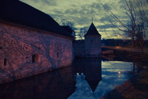 Hallwyl castle. Shadows dance. by julia-britvich-art-photography