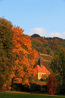 Herbst im Weinberg von Wolfgang Dufner