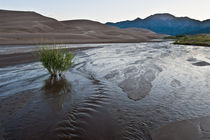 Ripples Through the Dunes