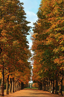 Im Herbstdom von Wolfgang Dufner