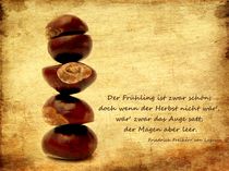 Kastanien mit Text by hannahhanszen