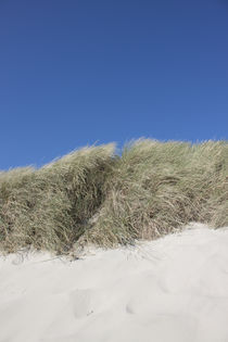 Dune I by Michael Beilicke