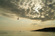 am meer von ralf werner froelich