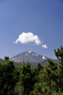 EL Teide auf Teneriffa von ralf werner froelich