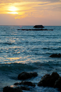 lonely spot von Michael Bolli