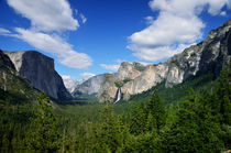 Yosemite National Park von RicardMN Photography