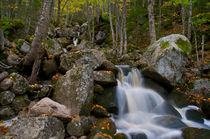 Autumnal flow von grimauxjordan