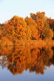 Indian Summer von Wolfgang Dufner