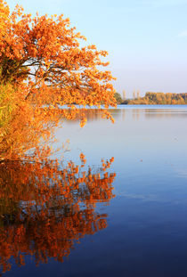 Herbst am Ufer by Wolfgang Dufner