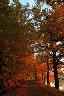 Goldener Oktober von Wolfgang Dufner