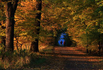 Colours and light von Wolfgang Dufner