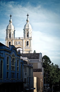 Metropolitan Cathedral of Florianópolis von Arthur Brognoli