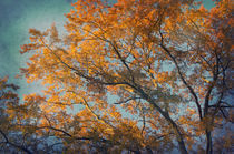 Vintage autumn von AD DESIGN Photo + PhotoArt