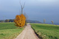 Herbst - Autumn von Juana Kreßner