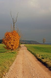 Herbstlandschaft von Juana Kreßner