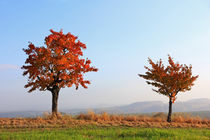 Herbst von Wolfgang Dufner