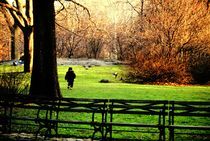 CENTRAL PARK / NY / USA by Ricardo Braescher