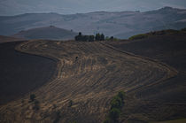 Tuscany, Italy by David Carvalho