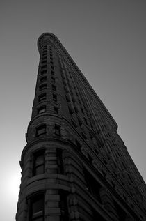 Flatiron, New York von David Carvalho