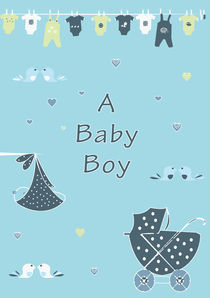 A Baby Boy  von Caroline Allen