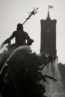 Neptune Fountain and Rotes Rathaus tower von RicardMN Photography