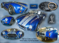 AC Cobra. von Tim Bayliss