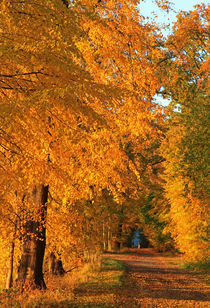 Mitten im Herbst von Wolfgang Dufner