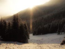 winter sun von Mihail Leonard Bodor