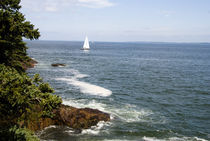 Scenic Coastal Maine by Tom Warner