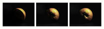 planet apple triptychon I by augenwerk