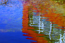 Rotes Unterwasserhaus von blickpunkte