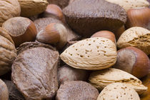 Assorted Nuts in Shell von Tom Warner