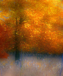 'Herbstgold - Autumn Gold' von mimulux