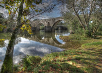 OLD ROMAN BRIDGE REFLECTION by Tiago Pinheiro