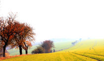 Weg durch den Herbst by Wolfgang Dufner