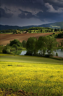 Tuscan Fields by Ken Crook