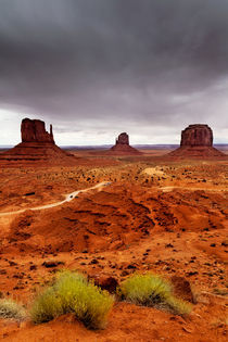 Monument Valley von David Pinzer