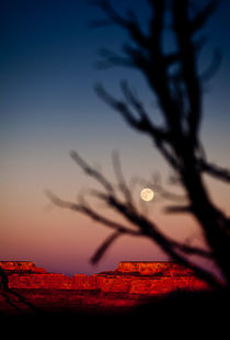 Full moon over the Canyon by David Pinzer