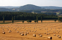 Sommerlandschaft by Wolfgang Dufner